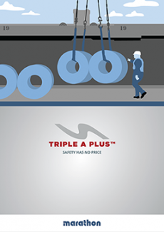 TRIPLE A PLUS BROCHURE