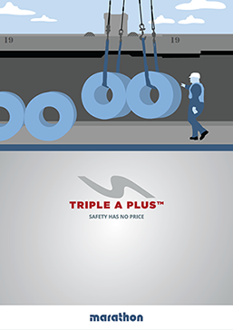 Triple A Plus Brochure